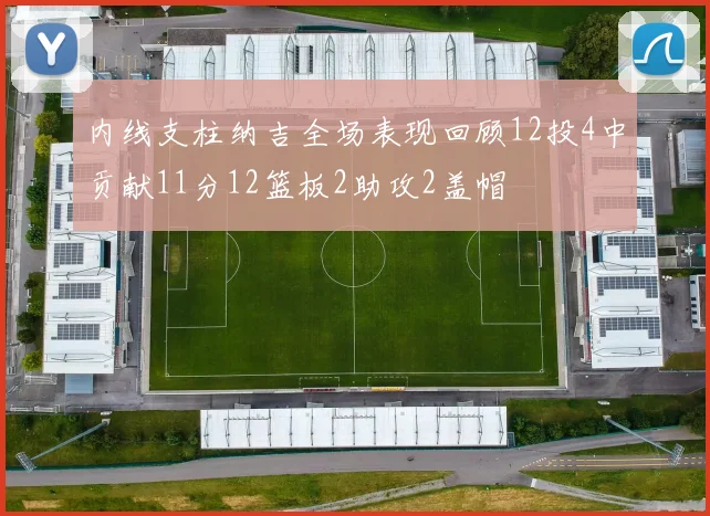 内线支柱纳吉全场表现回顾12投4中贡献11分12篮板2助攻2盖帽
