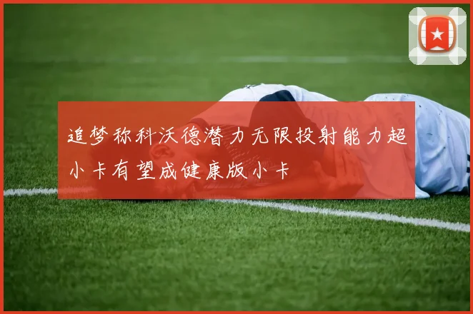 追梦称科沃德潜力无限投射能力超小卡有望成健康版小卡