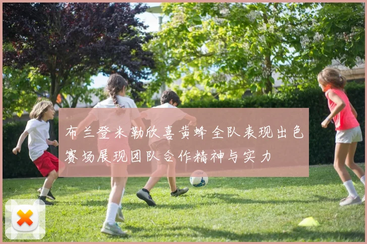 布兰登米勒欣喜黄蜂全队表现出色赛场展现团队合作精神与实力
